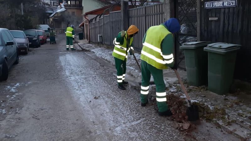 Curățenie de toamnă târzie, în municipiul Brașov (FOTO)