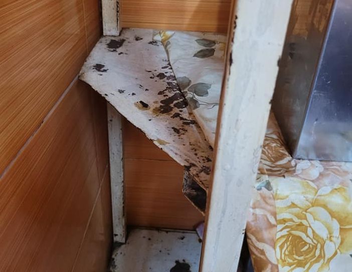 FOTO+VIDEO Focar de infecție într-o brutărie din cartierul Noua