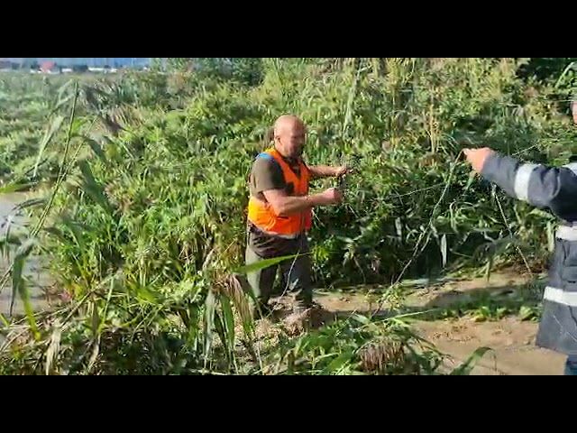 VIDEO Sute de oameni s-au luptat cu apele, la Stupini, pentru a limita pagubele produse de inundații