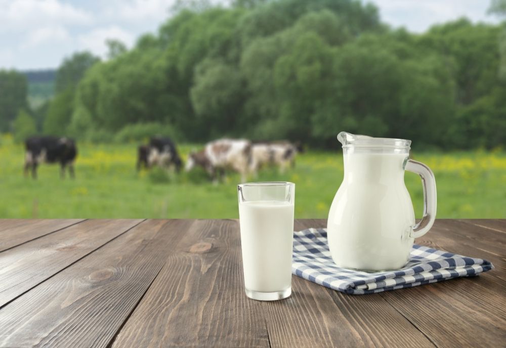 VIDEO La Brașov, produsele eco și cele care provin de la producătorii locali au prioritate în programul „Cornul și laptele“ din acest an școlar