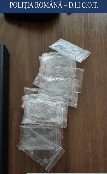 VIDEO Arestați pentru trafic de droguri de mare risc!