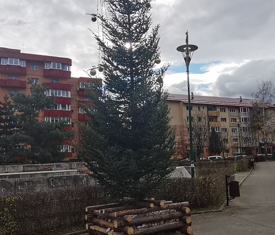 FOTO Vă place cum a "împodobit" Primăria bradul de iarnă din cartierul Răcădău?