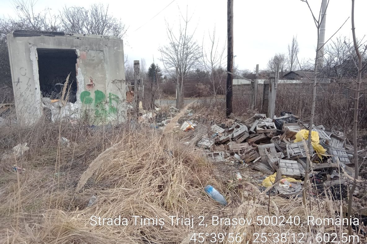 FOTO Focar de infecție în zona Timiș - Triaj