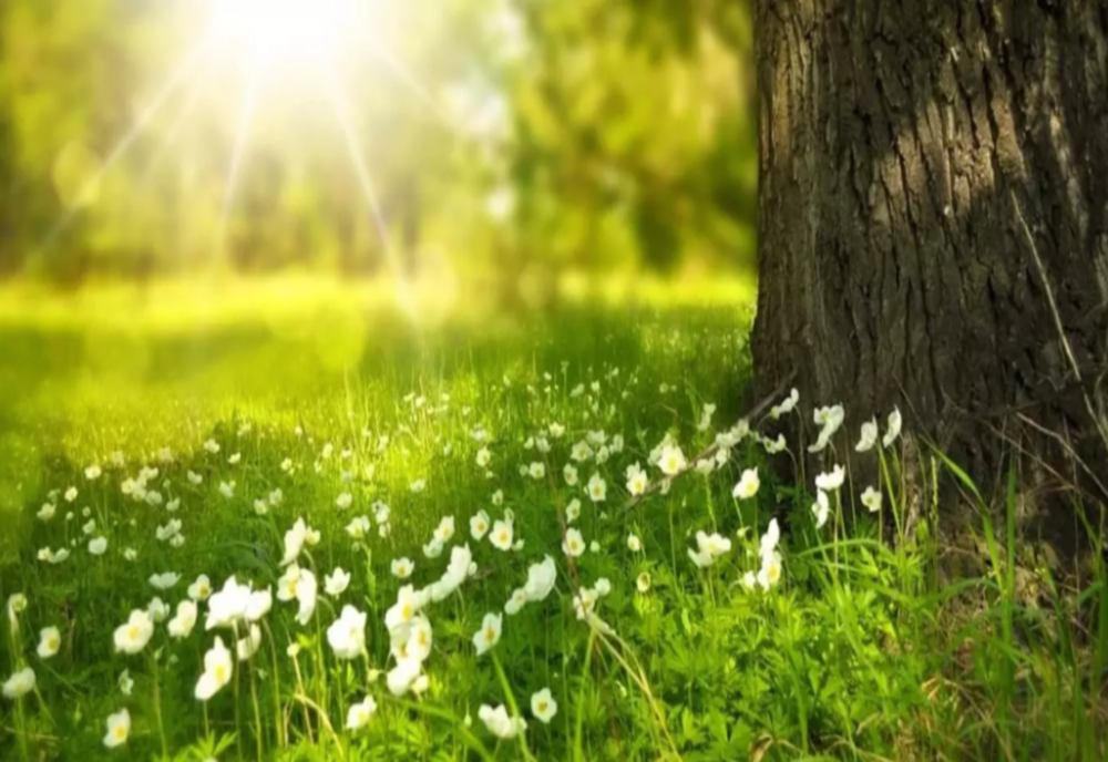 Vremea 28 martie - Început de săptămână cu maxime de 20 de grade