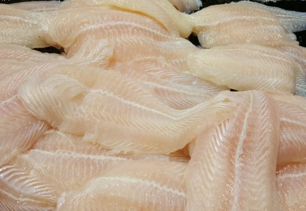 Control judiciar pentru trei sibieni care au furat 250 de kilograme de peşte