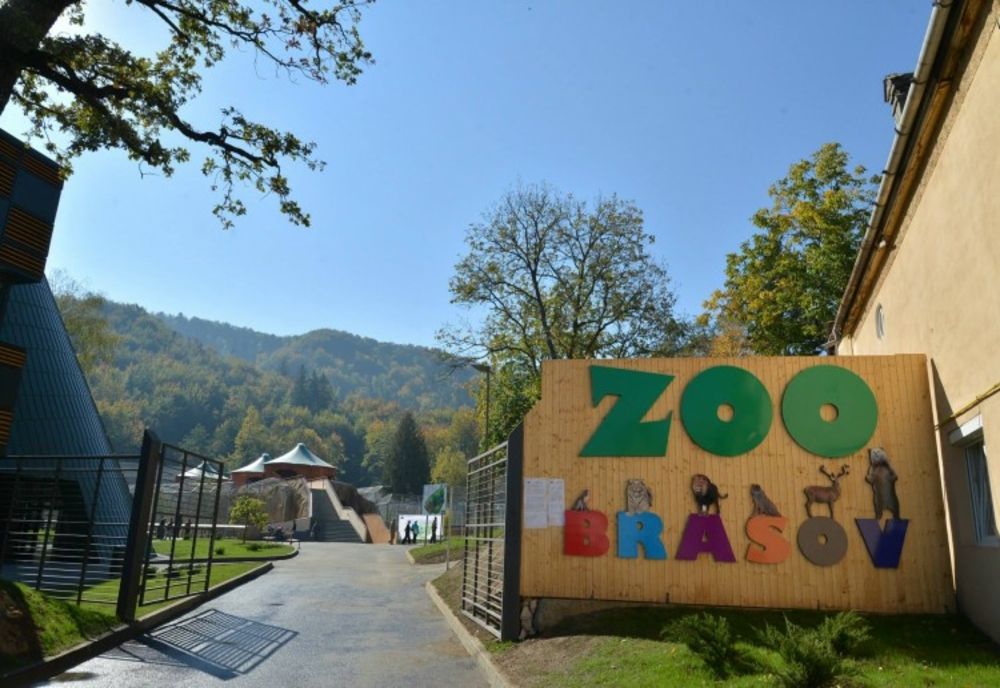 Zi specială, marți, la Zoo Brașov