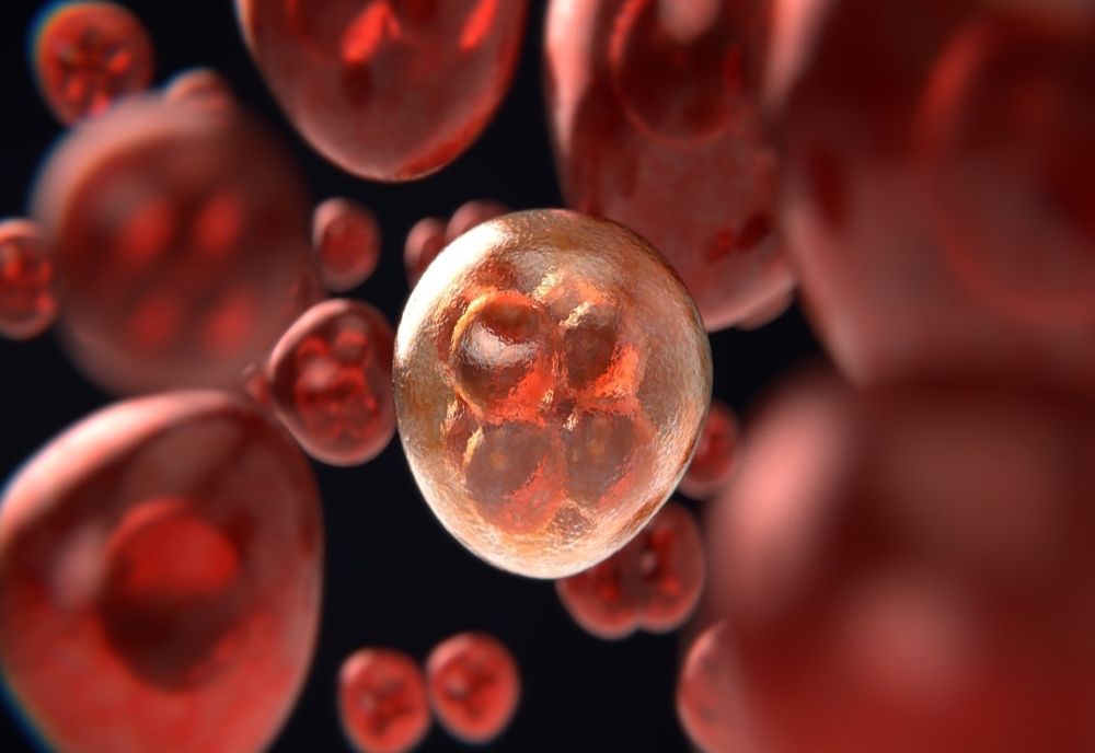 Cancerul pe care îl putem elimina!