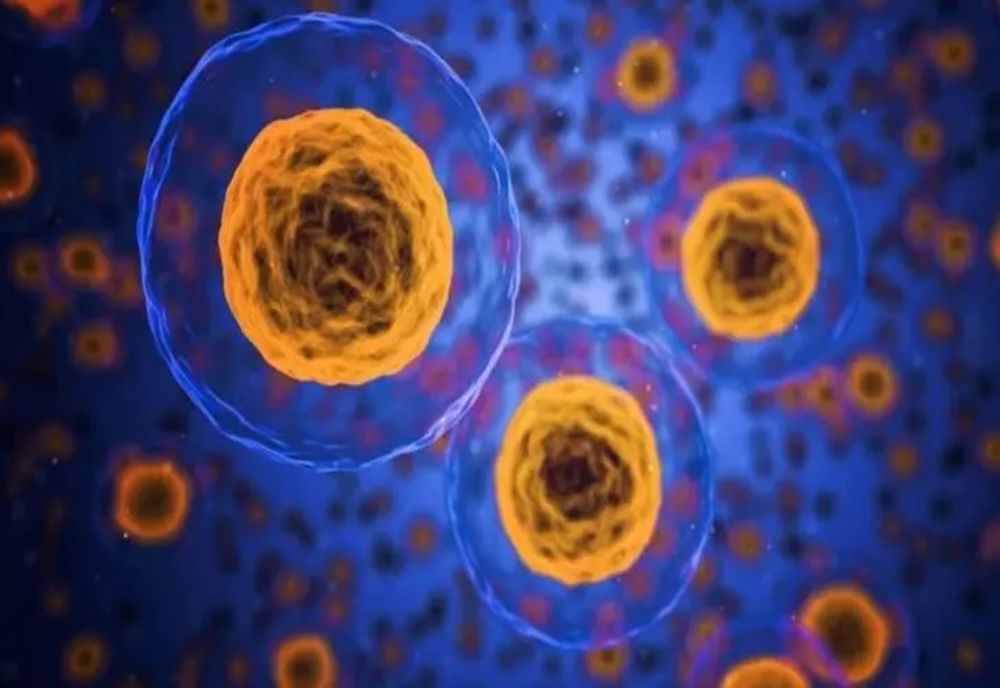 Lista alimentelor care luptă împotriva cancerului - Sfaturile unui medic oncolog