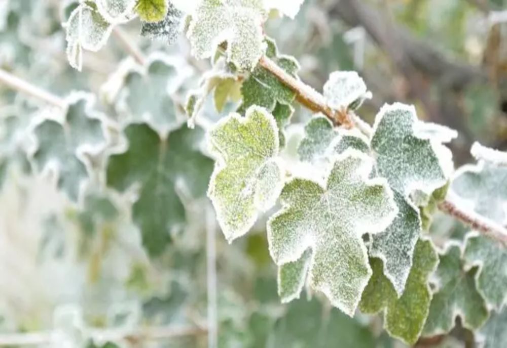Vremea astăzi, 28 noiembrie