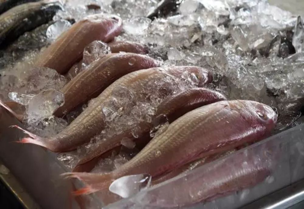 Prețul peștelui, chiar și cu 50% mai mare față de anul trecut