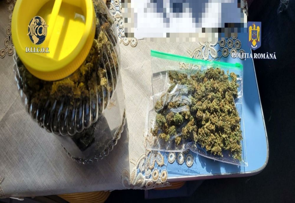 VIDEO Polițiștii și procurorii brașoveni continuă perchezițiile la posibilii traficanți de droguri