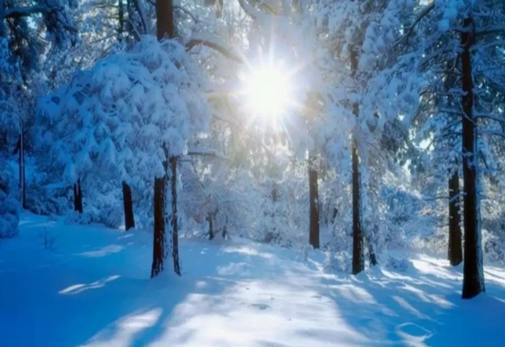 Vreme capricioasă. Ninsori ca în toiul iernii, în plină primăvară, după temperaturi de peste 30 de grade