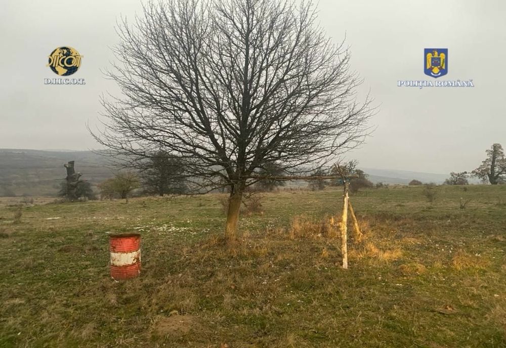 Minor forțat să lucreze la o stână din județul Brașov și să abandoneze școala! 5 percheziții au loc în județul Brașov, într-un dosar de trafic de minori