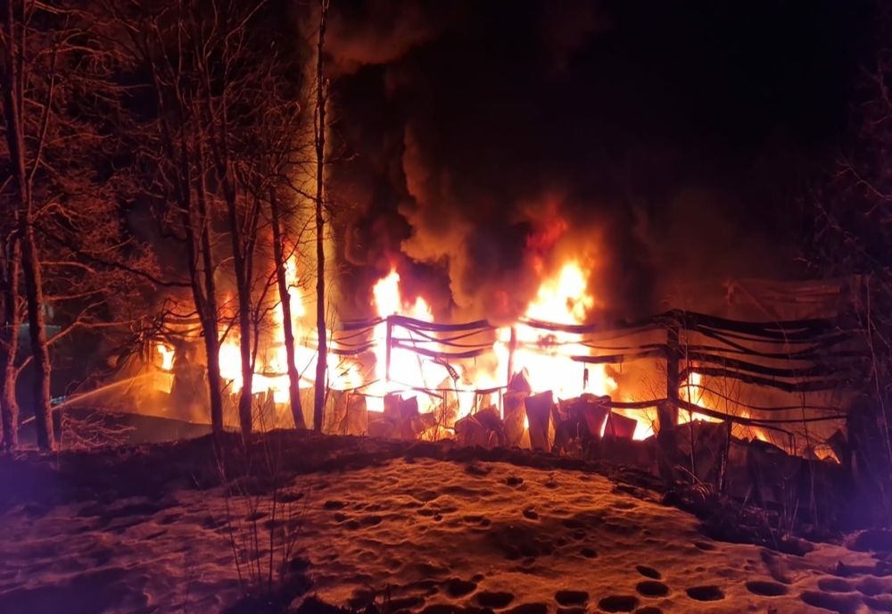 Incendiu la o hală de depozitare de materiale plastice VIDEO