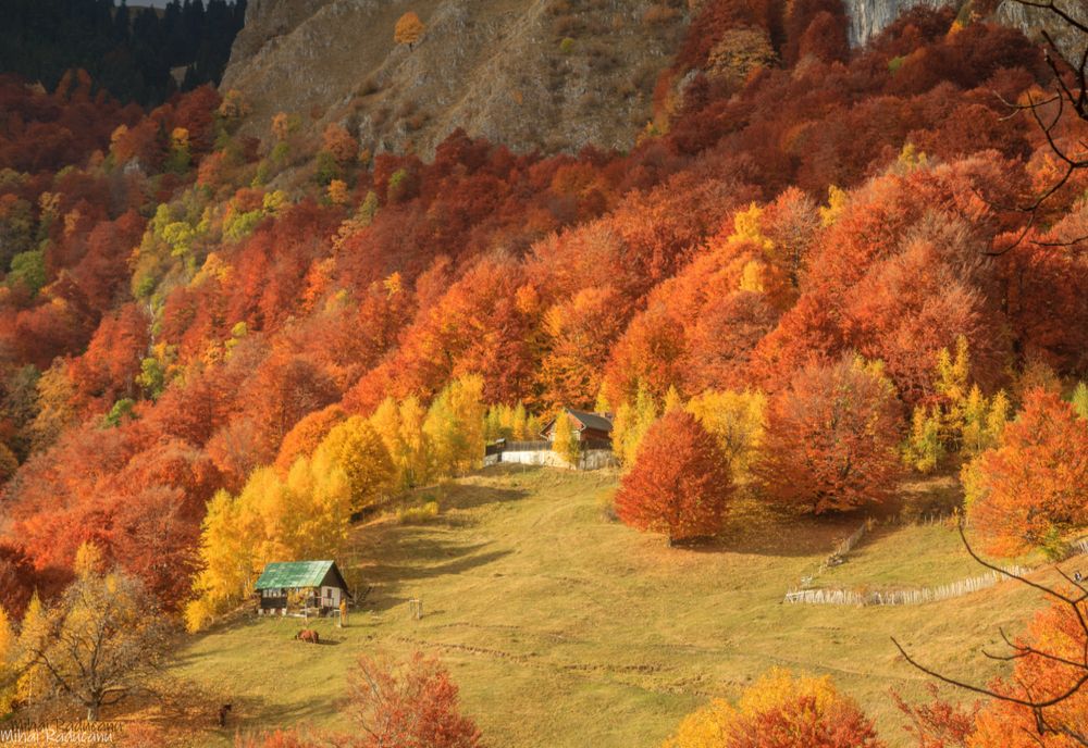 Numărul turiștilor străini care au ajuns în România a crescut cu 23%