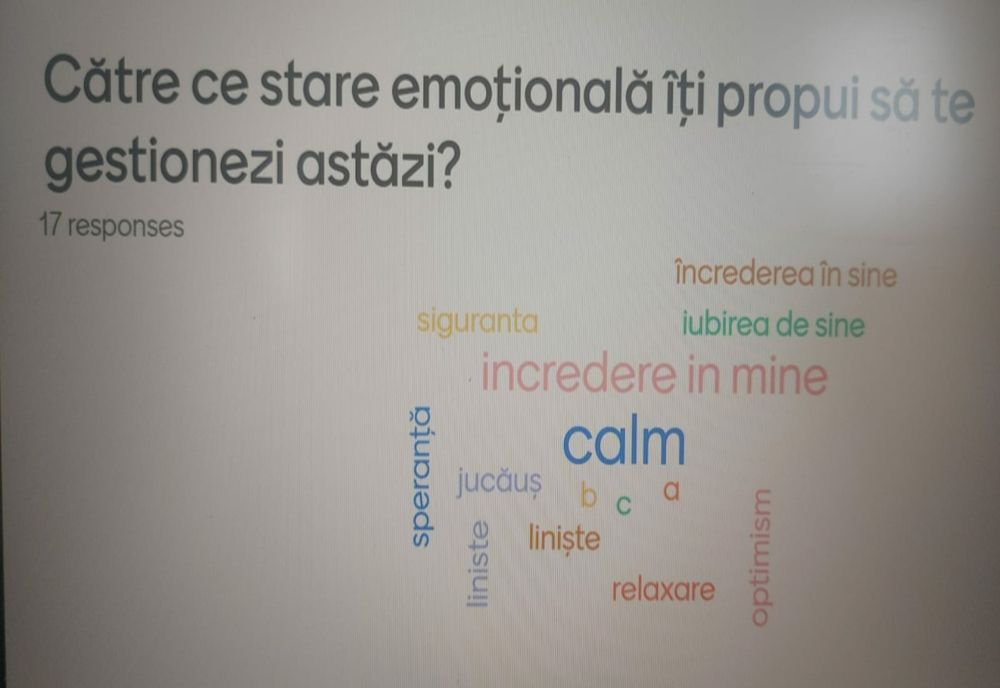 ANXIETATEA, DEPRESIA ŞI ATACUL DE PANICĂ, PRINCIPALELE TEME ALE PROIECTULUI S.O.S.