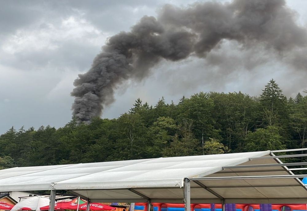 DINOZAUR DISTRUS ÎNTR-UN INCENDIU, LA RÂŞNOV! VIDEO