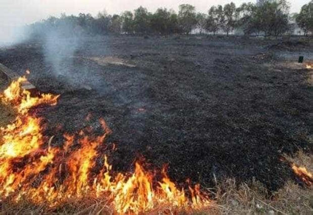 INCENDIILE DE VEGETAȚIE AU MAI FĂCUT O VICTIMĂ
