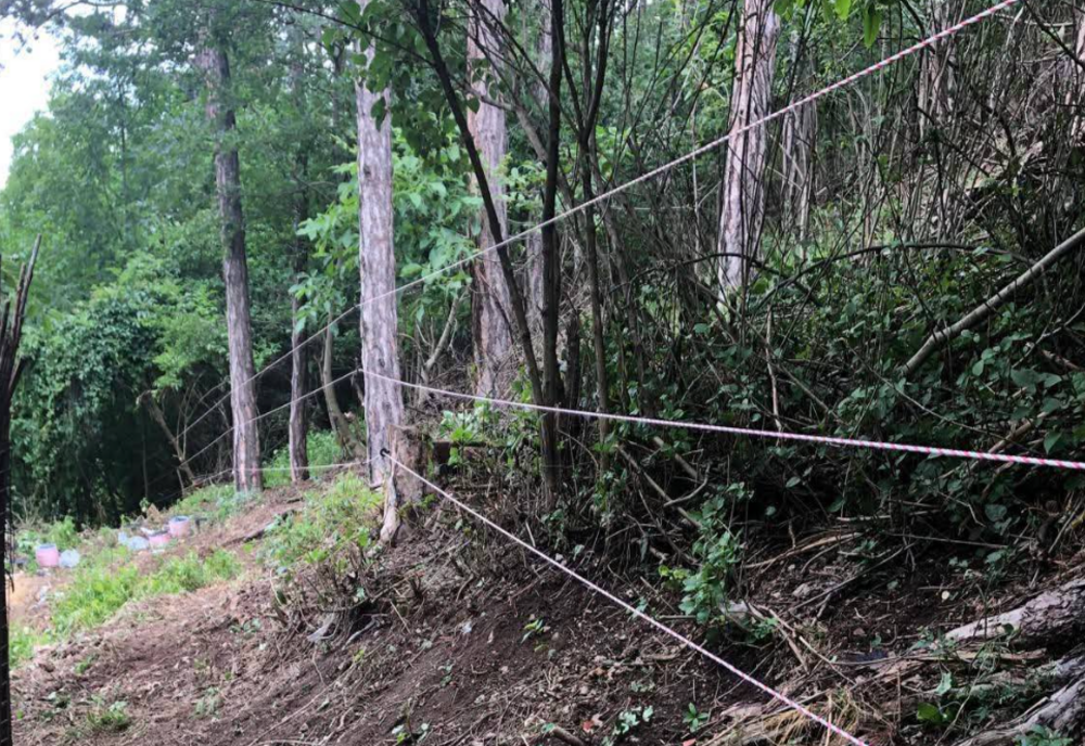 PRIMII 800 DE METRI DE GARD ELECTRIC INSTALAȚI LA RÂȘNOV PENTRU PROTEJAREA LOCUITORILOR DE URȘI 