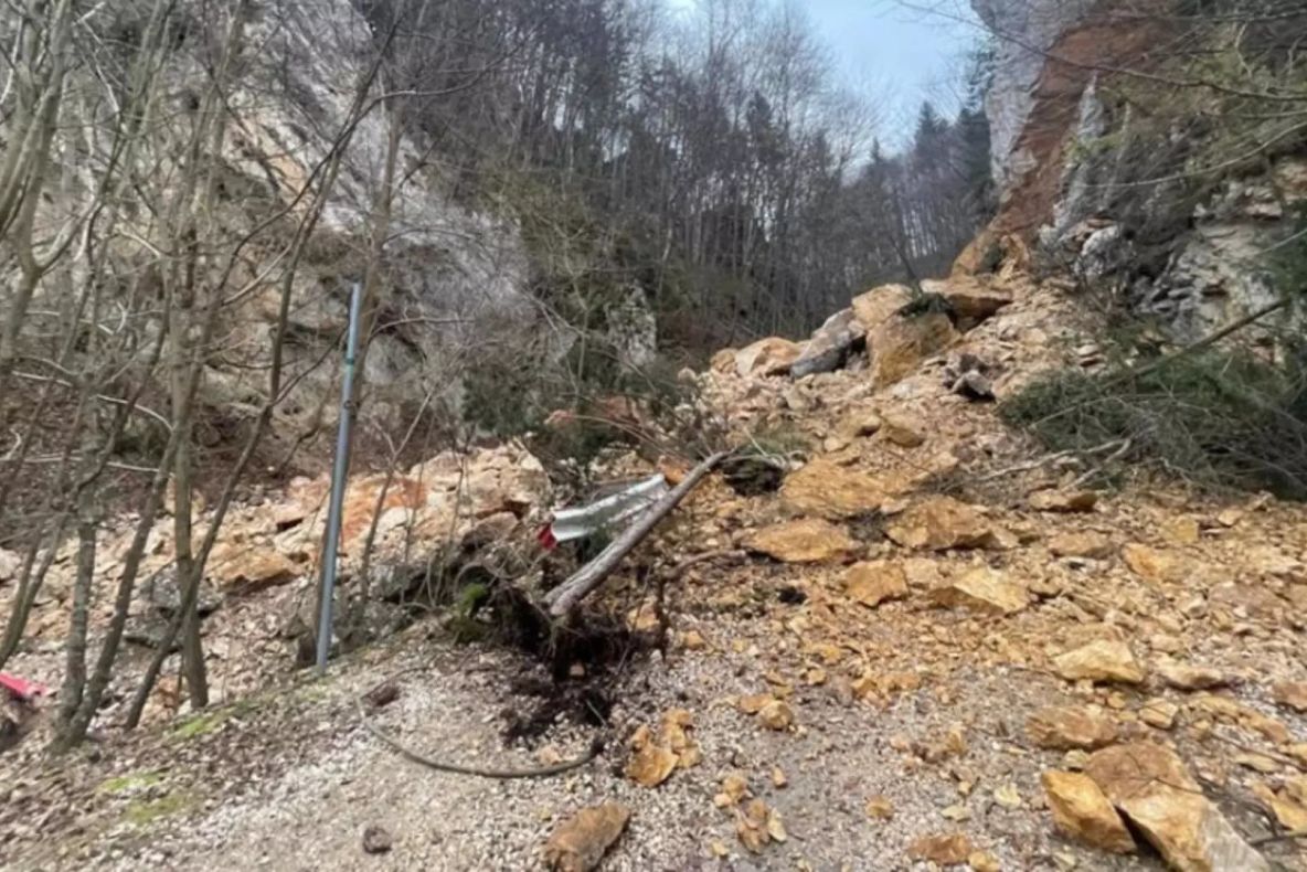 Alunecare de teren într-o zonă turistică din Brașov. Există riscul prăbușirii mai multor arbori