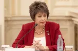 Niculina Stelea (senator AUR): „Au rezolvat-o și pe asta: a dispărut baza de date PNRR”