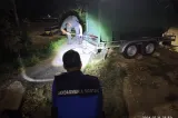 Urși eutanasiați la Râșnov