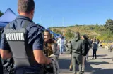 Șapte deținători de câini s-au ales cu dosare penale după o expoziție chinologică de la Râșnov