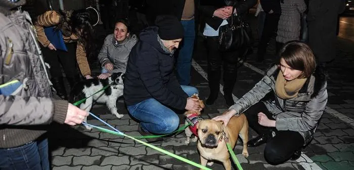protest-caini-08-700x336