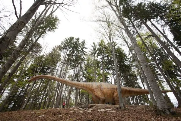 dino parc (10)