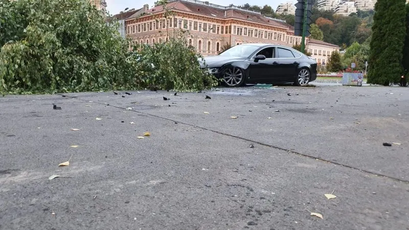 accident (2)