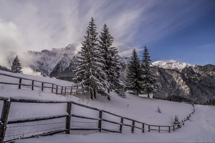 wild-carpathia