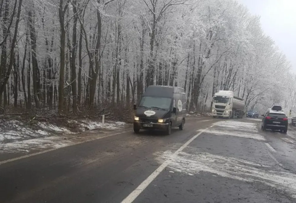 Atenție, șoferi! Se taie copacii care pun în pericol traficul de pe DN1