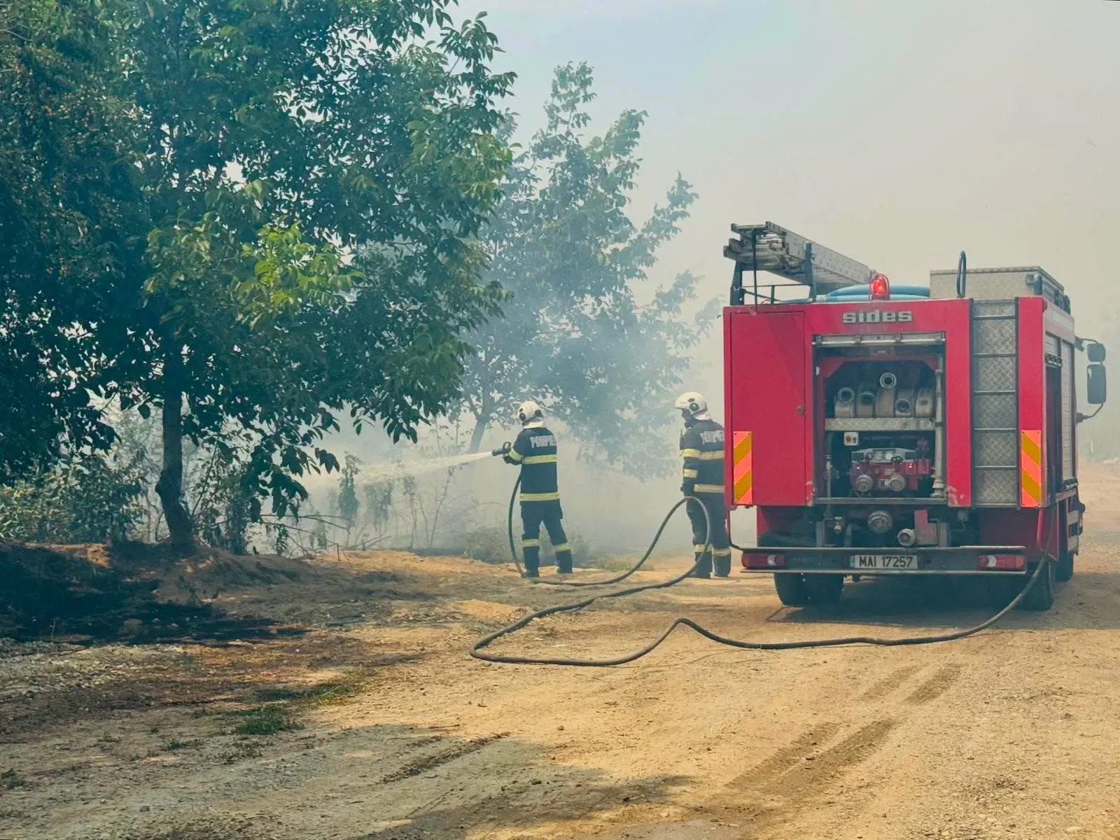 Incendii de vegetație Brașov