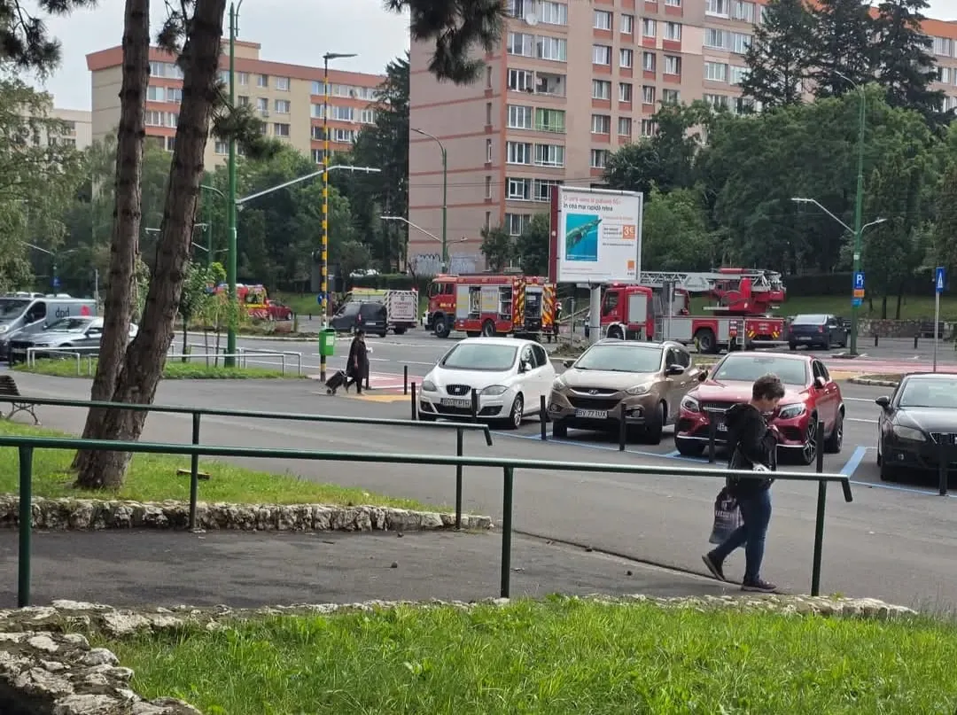 Mobilizare a autorităților