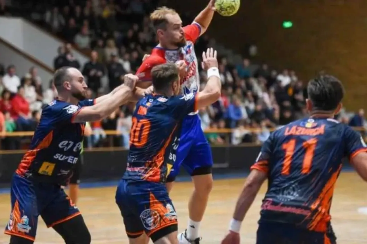 Liga Zimbrilor de handbal masculin