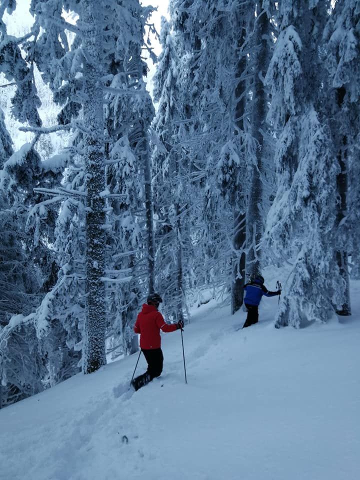 49348492_2018292581587769_7230597822435819520_n