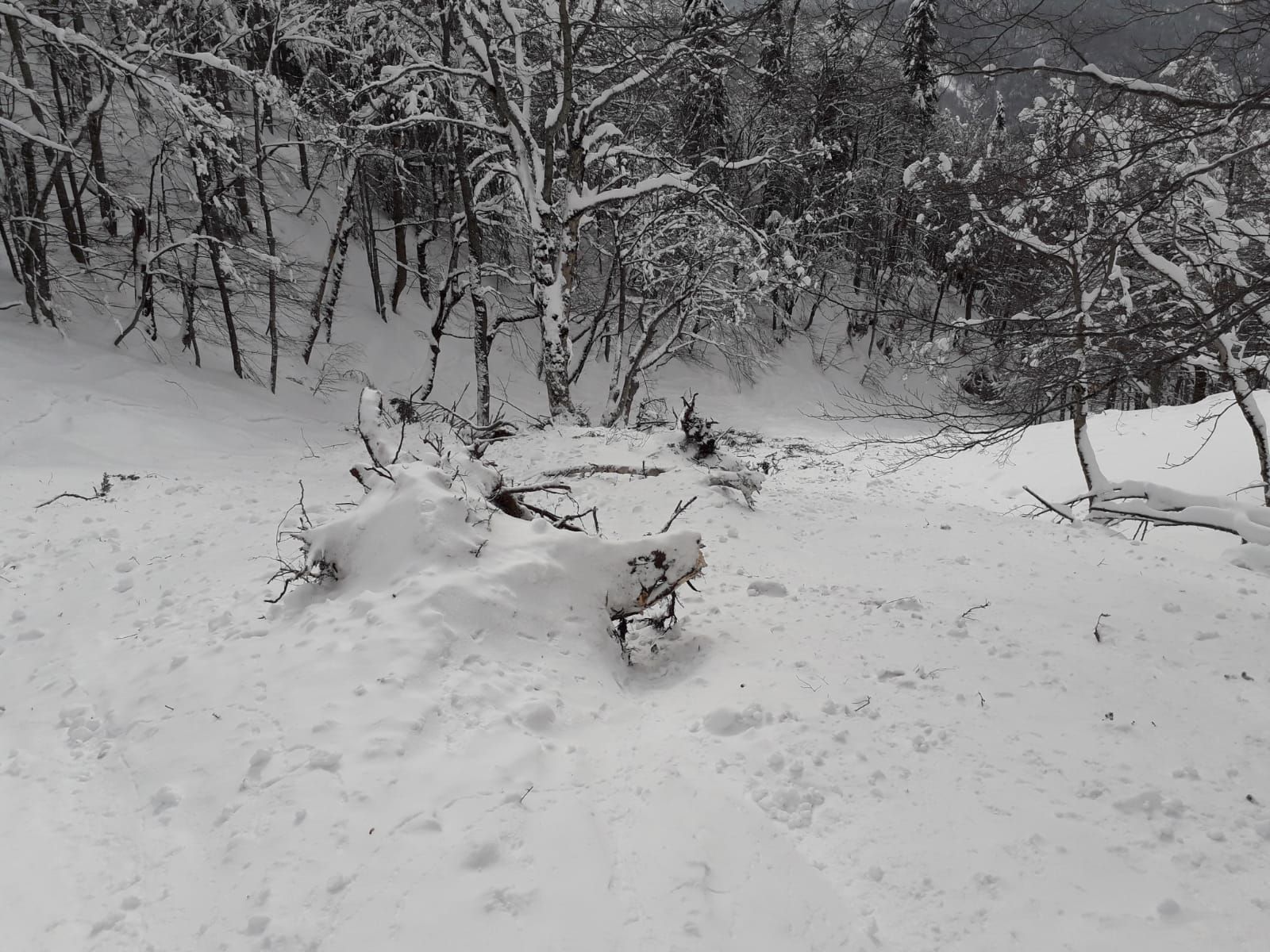 WhatsApp Image 2019-01-14 at 14.09.59