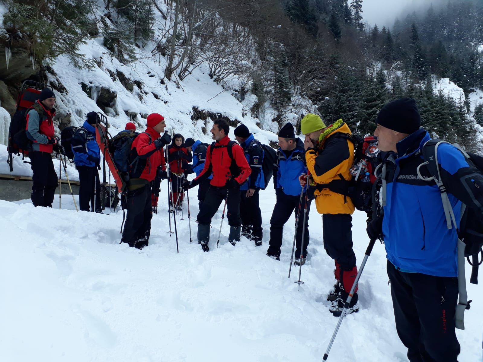 WhatsApp Image 2019-01-19 at 18.40.52