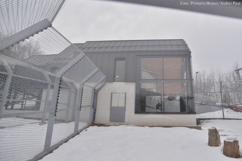 zoo 2019_PMBv_andreipaulfoto19