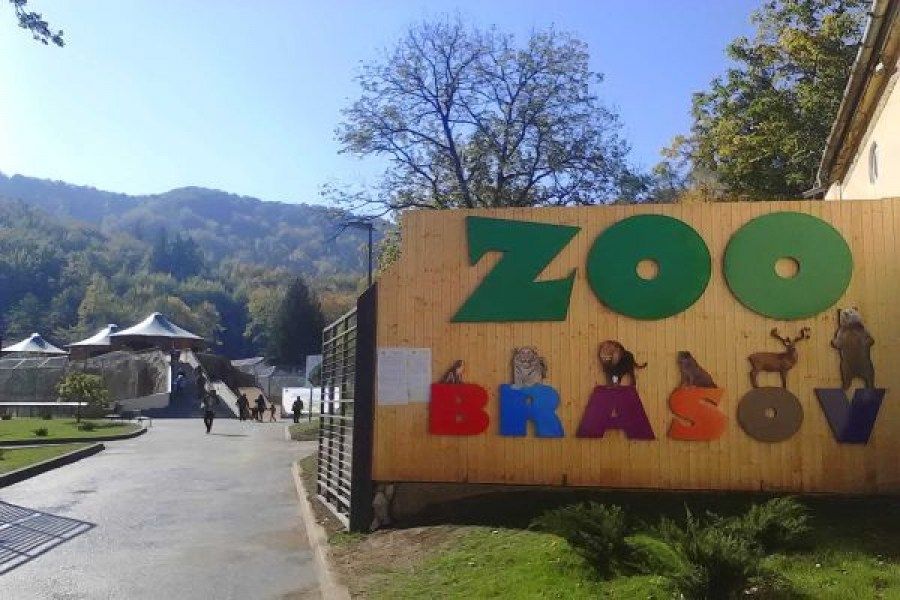 zoo