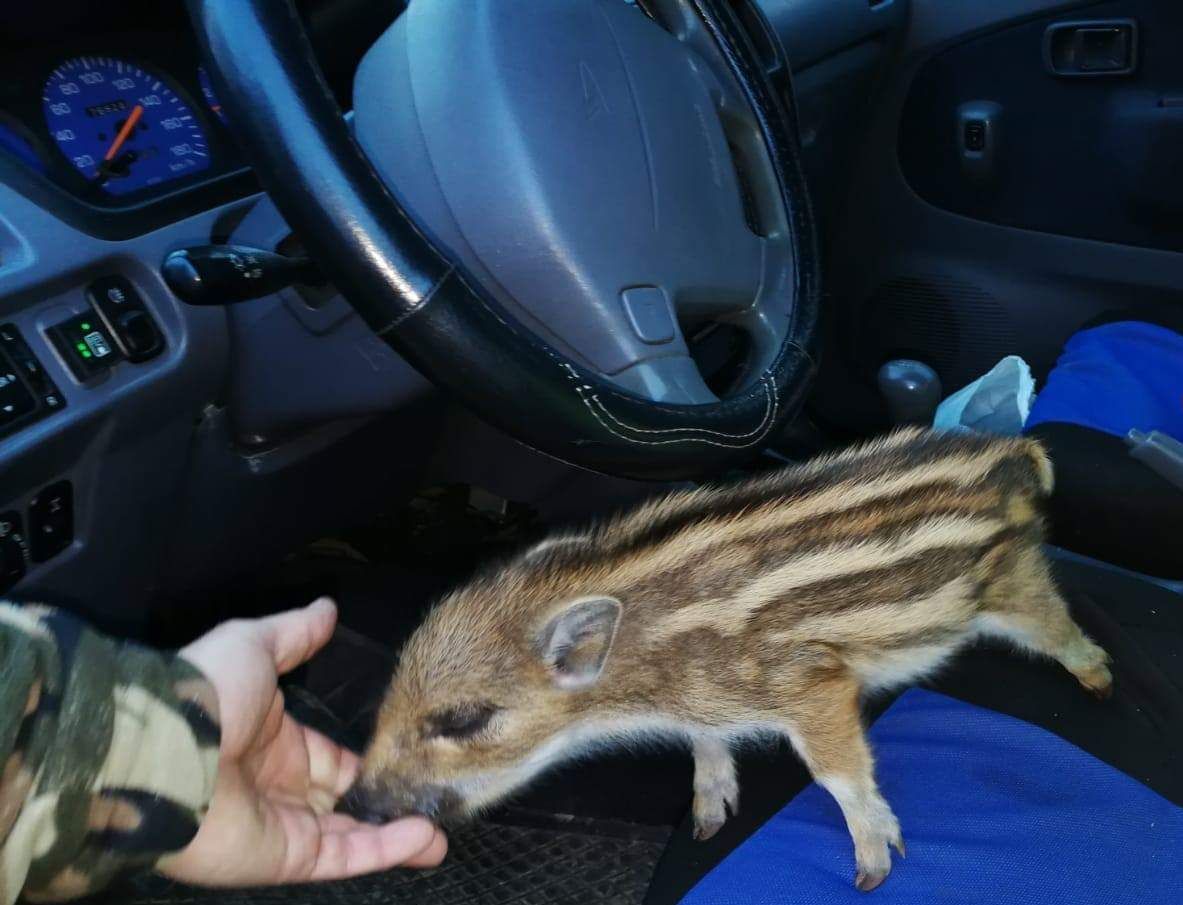 FB_IMG_1554214415028