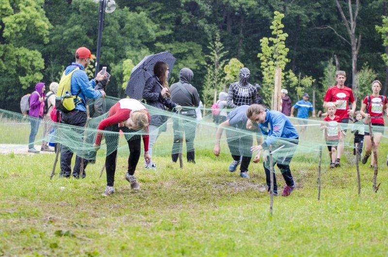 Copyright © Zoltán Tamási