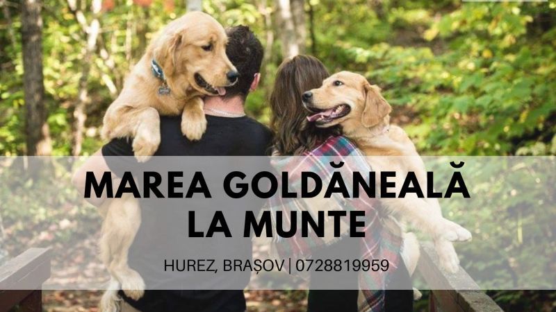 67403493_2454348997921757_5728266657986510848_o