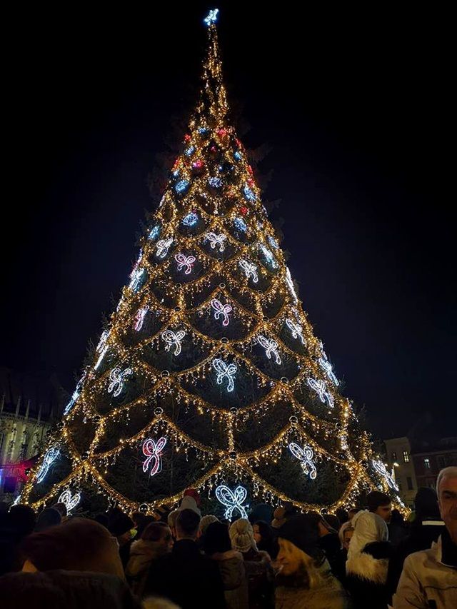 brad-piata-sfatului-20181