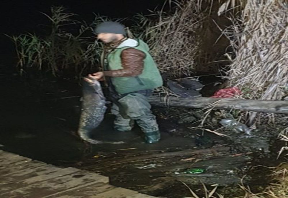 FOTO Un brașovean a pescuit ilegal în județul Sibiu și a fost prins, în toiul nopții, de polițiști