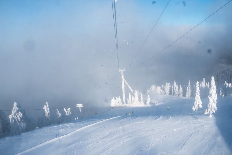 domeniu schiabil (3)