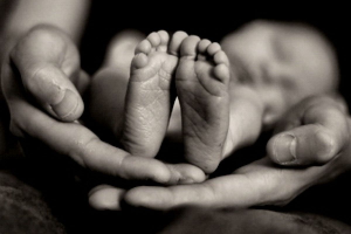 26fb854c-bebelus-mort