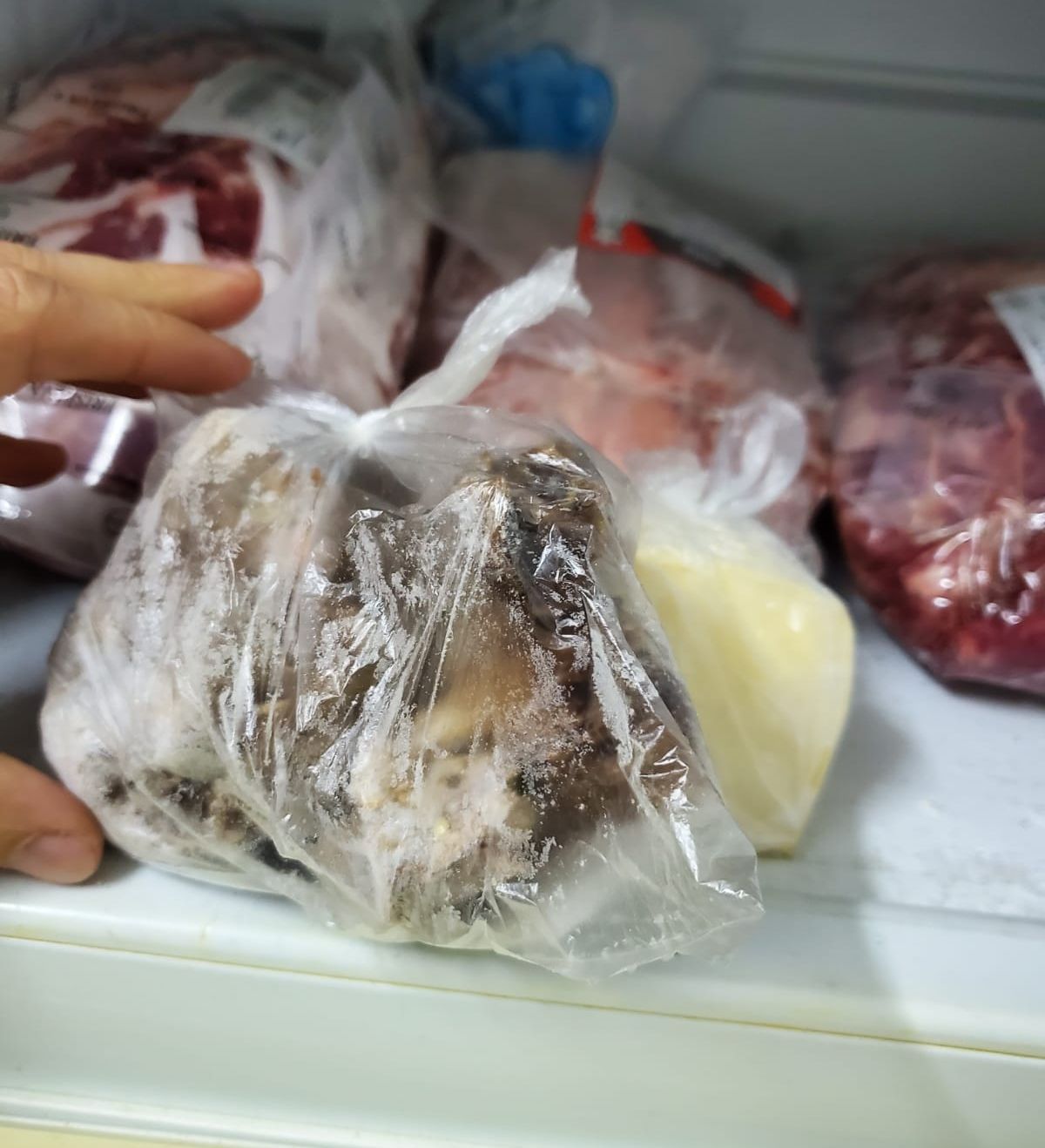 WhatsApp Image 2020-02-08 at 23.05.56 (2)