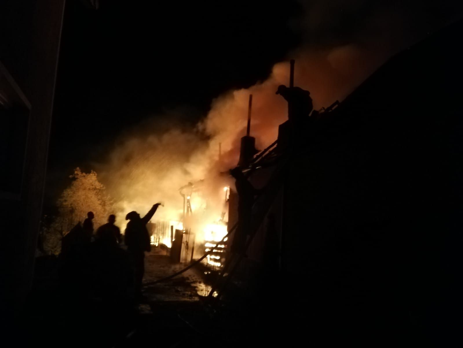 WhatsApp Image 2020-05-02 at 10.14.46