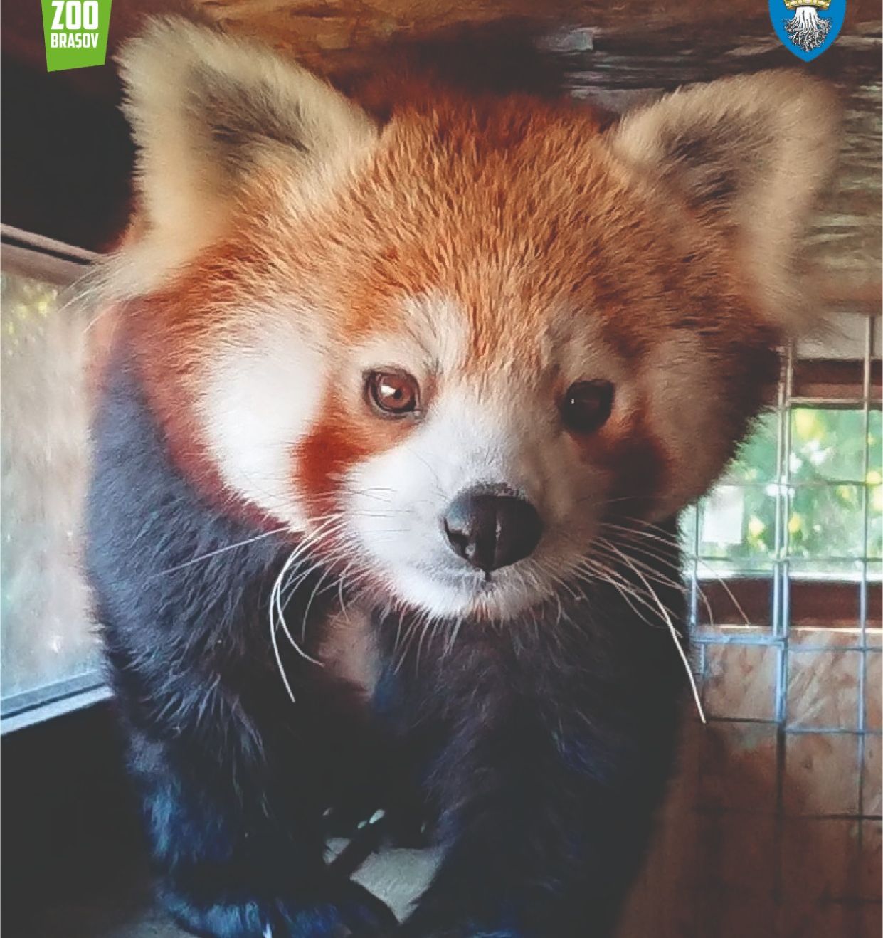 WhatsApp Image 2020-08-21 at 14.00.44